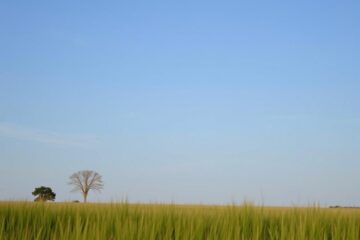 Revolución en el Ecosistema JavaScript: Angular 19 y NestJS 11 Marcan el Camino Hacia el Desarrollo Moderno